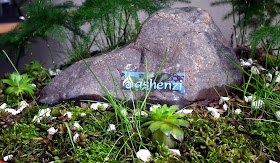 Ashenzi firm's logo as rock_mountain banner in saikei with asparagus ferns