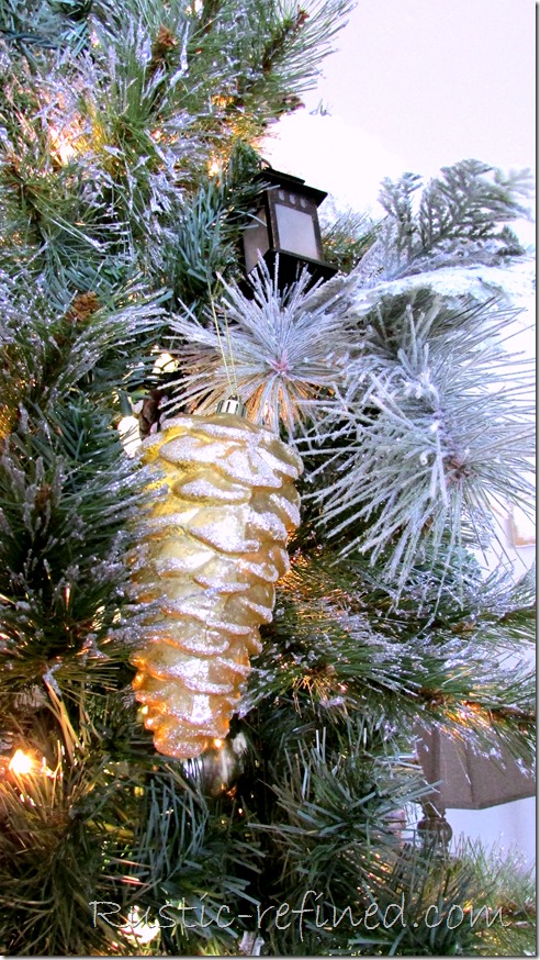 Pinecones on a Tree
