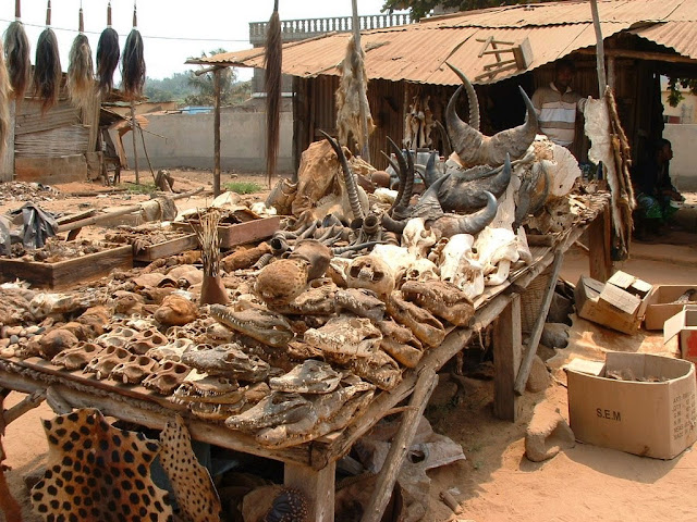 Lome Voodoo Market, Togo