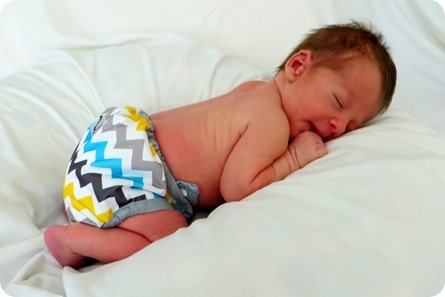 Henry Tad Newborn Portraits