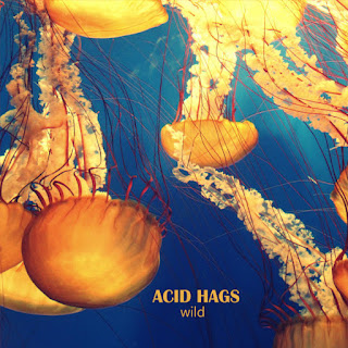 Acid Hags "Wild" 2018 + "Acid Hags" 2020 Croatia Prog,Psych,Alternative Rock