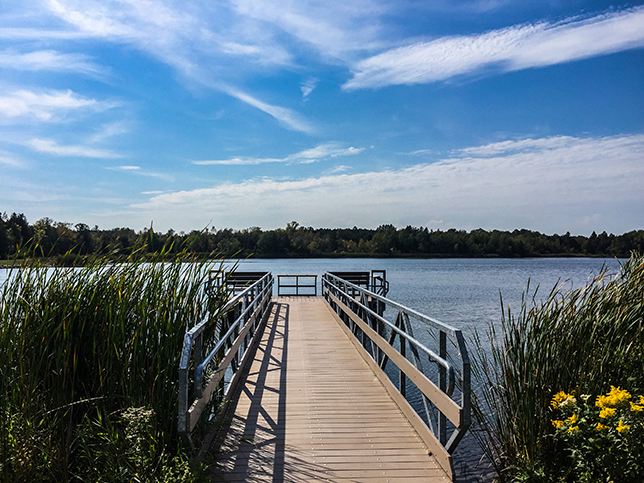 Forestville Flowage at Forestville Dam County Park