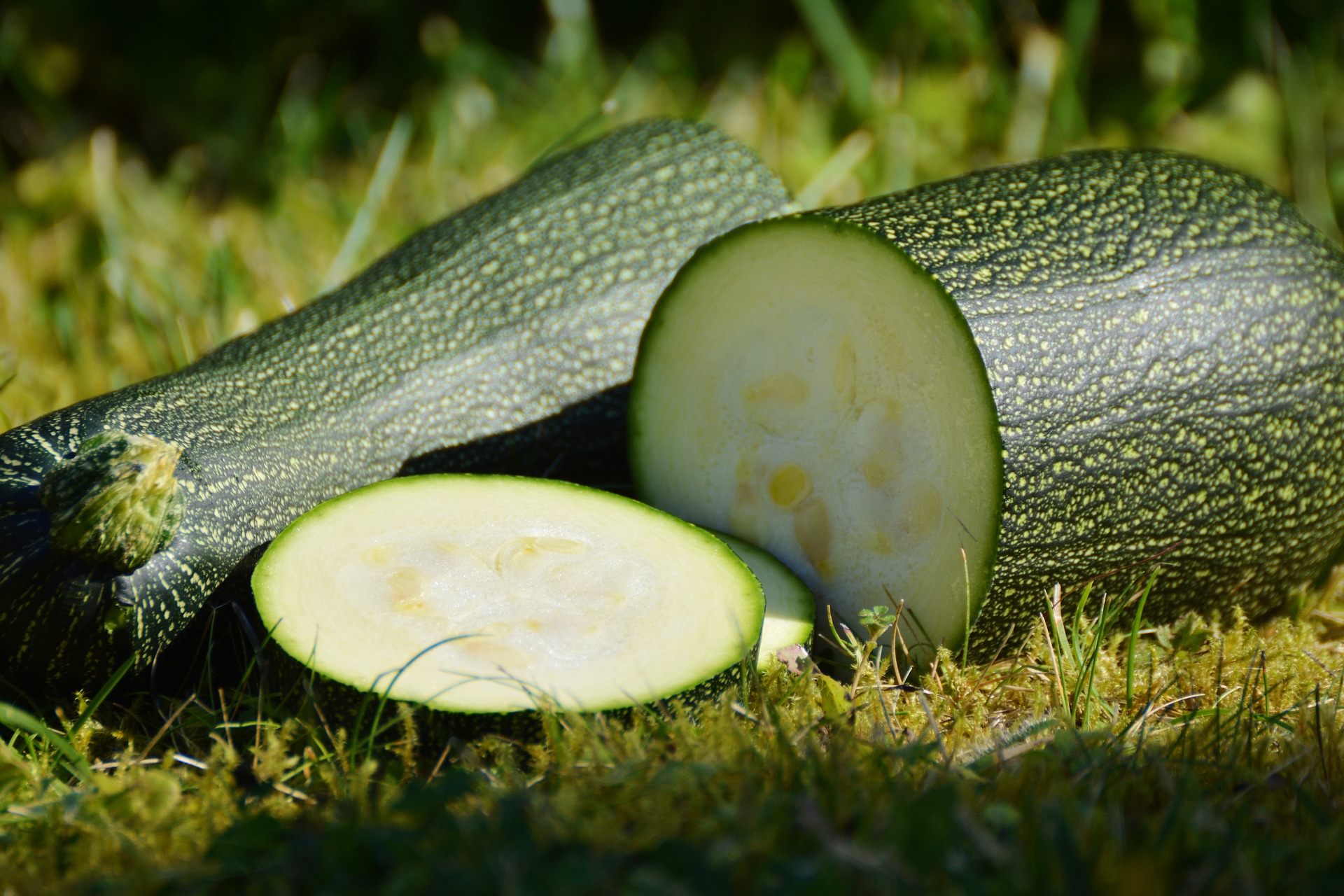 Amazing Health Benefits of Zucchini