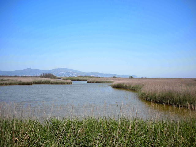 Alt Empordà; Parque Natural dels Aiguamolls de l’Empordà