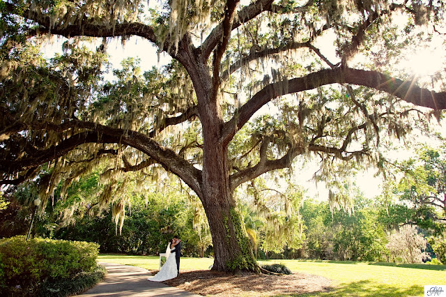 Wedding photography at Leu Gardens-Winter Park Farmers Market