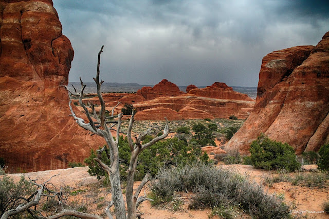 Arches National Park Utah geology travel hiking camping outdoors recreation copyright RocDocTravel.com