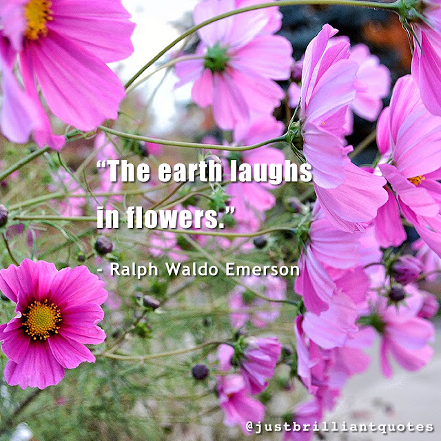 earth, laughs, flowers, Ralph Waldo Emerson