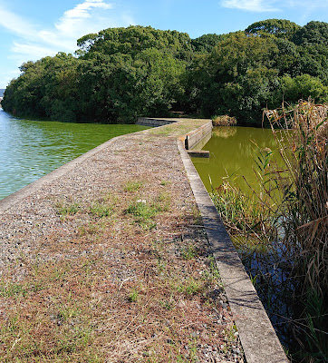 河内大塚山古墳(松原市・羽曳野市)