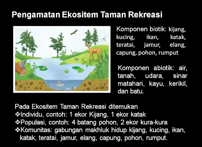 Poster Taman Rekreasi