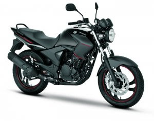 NEW 2010 YAMAHA FAZER 250 CC REVIEWS – Gambar Foto 