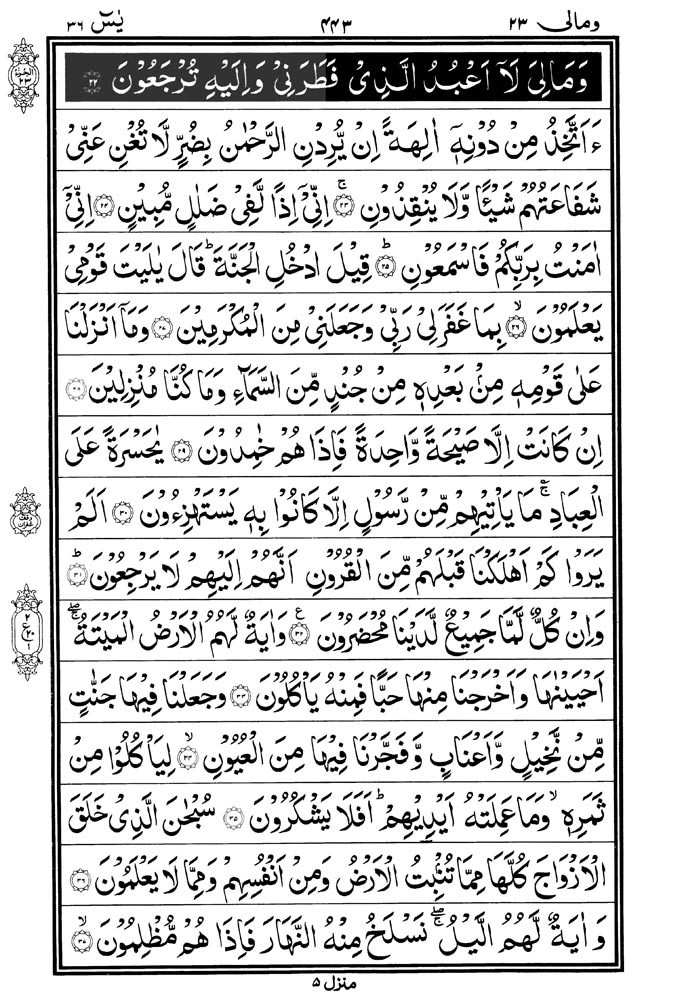 Muka Surat Yasin Ayat 29 Dalam Al-Quran