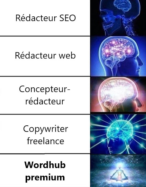 FIN DU GAME - Le mème Wordhub premium