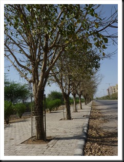 road