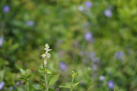 beautiful moments in the Norfolk countryside