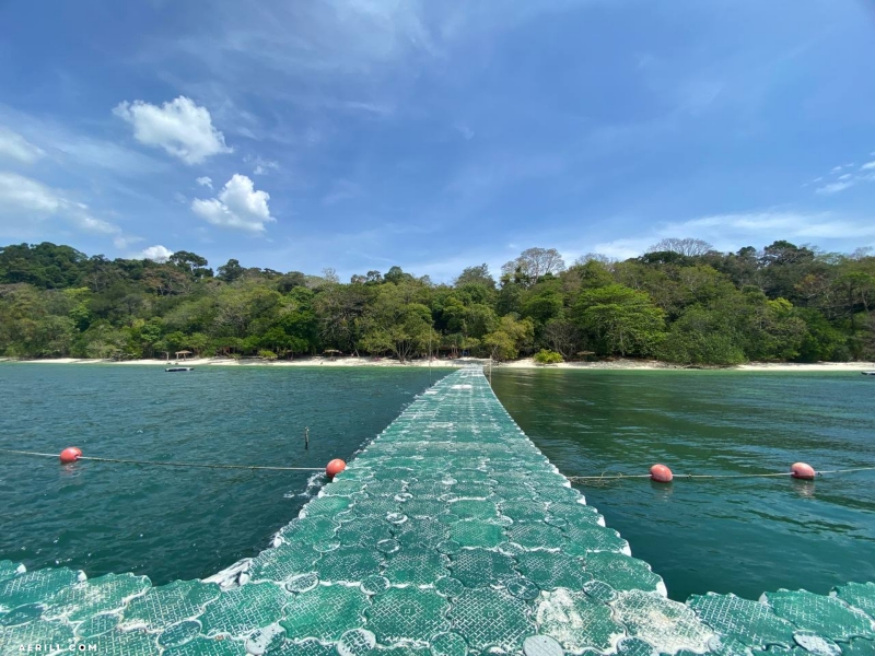 Menikmati Keindahan Tersembunyi di Lion Marine, Pulau Singa Besar, Langkawi!