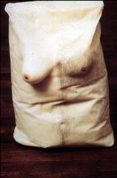 gober torso