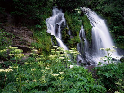 Beautiful Waterfall Seen On www.coolpicturegallery.net