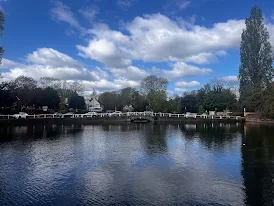 Ponds in The Grove