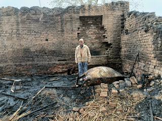 पशु बाड़ा में आग लगने से भैंस जल मरी, एक अन्य भैंस व पडिया गंभीर घायल  रिपोर्ट :- विजय द्विवेदी    जगम्मनपुर, जालौन : पशु बाड़ा में आग लगने से दुधारू भैंस की जलकर मृत्यु हो गई वही उसकी डेढ़ माह की पडिया व एक अन्य 3 वर्षीय भैंस जलकर गंभीर रूप से घायल हो गई है ।    रामपुरा थाना अंतर्गत ग्राम उदोतपुरा जागीर में आज रात सुशील कुमार पुत्र छोटेलाल दोहरे के पशु बाड़ा में आग लगने से दुधारू भैंस की जलकर मृत्यु हो गई व उसी भैंस की डेढ़ माह की पडिया व एक अन्य 3 वर्षीय दूसरी भैंस जलकर गंभीर रूप से घायल हो गई है । प्राप्त जानकारी के अनुसार आज गुरुवार की बीती रात लगभग 12 बजे सुशील कुमार दोहरे के पशु बाड़ा में अचानक आग लग गई जिससे दीवारों के सहारे रखें छप्पर एवं पशुओं को खिलाने के लिए रखी बाजरा की करबी भी आग पकड़  ली जिससे छप्पर के नीचे बधे तीनों पशु आग की चपेट में आ गए। ग्रामीणों के प्रयास के बाद बमुश्किल आग को बुझाया गया तब तक छप्पर के नीचे बंधी दुधारू भैंस जलकर मर चुकी थी व दो अन्य पशु गंभीर रूप से जलकर घायल हो गए । बताया जाता है सुशील कुमार गरीब किसान है । परिवार के भरण-पोषण के लिए थोड़ी सी जमीन एवं पशुपालन से प्राप्त आय ही एकमात्र साधन था । गरीब किसान की दुधारू भैंस जलकर मर जाने से उसके परिवार के भरण-पोषण की समस्या उत्पन्न हो गई है। घटना की सूचना रामपुरा थाना पुलिस को दे दी गई है।