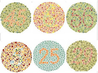Gambar tes buta warna lengkap Untuk Ujian Tes - Gambat 