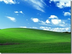 bliss