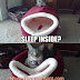 Cats Logic