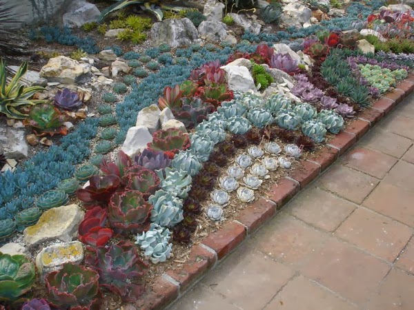 Succulents - Succulent gardens - how to mack succulent