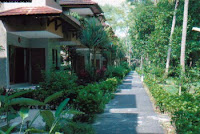 Garden Surrounding Bungalow at Ciputih Beach Resort Ujung Kulon