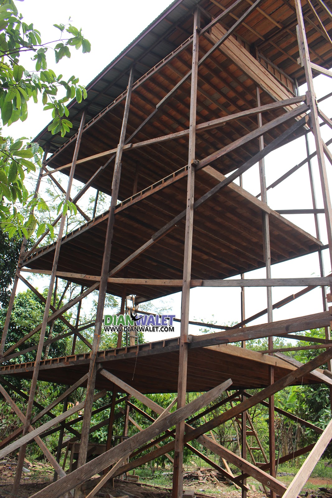 Rumah Sarang Burung Walet Dari Rangka Ulin  DIAN WALET