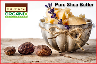 raw shea butter for sale online