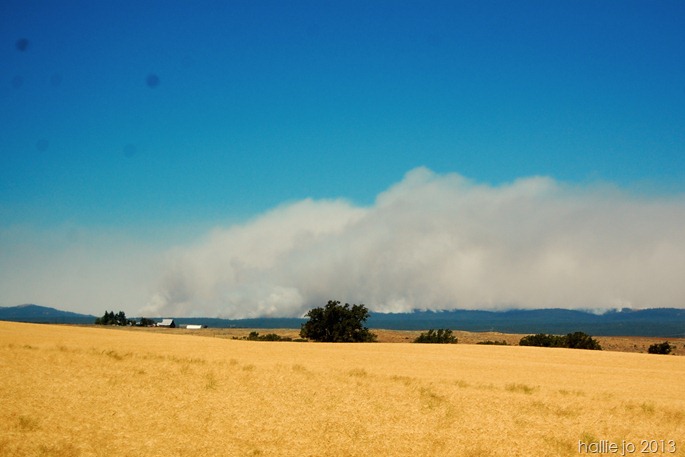 Fire4