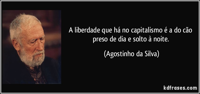 Frases de Liberdade Belas Mensagens