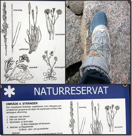 01  stångehuvud 1