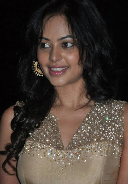 bindhu madhavi spicy bindhu madhavi new hot images