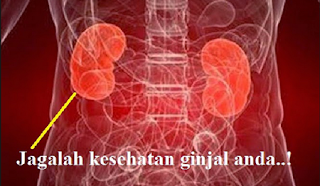 http://mustahabbah.blogspot.com/2015/10/penyakit-ginjal-berbahaya-dan-cara.html