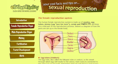 http://www.eschooltoday.com/human-reproduction/the-female-reproductive-organ.html