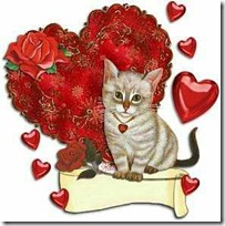 gato san valentin