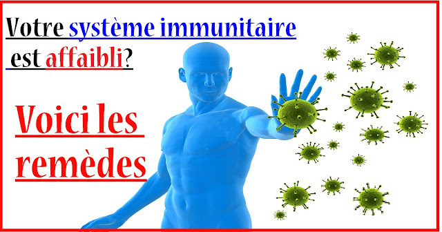 palntes-pour-renforcer-systeme-immunitaire