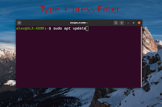Type sudo apt update and press Enter on Ubuntu Terminal