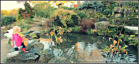 watching the ducks in the Rock Garden RHS Wisley