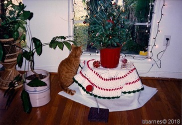 Rocky Christmas 1986 on Chantilly Lane