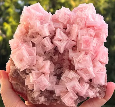 Pink Halite from California