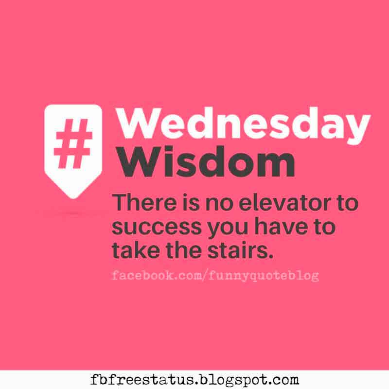 wednesday morning quotes, There is no elevator to success you have to take the stairs. Wednesday Wisdom Quote.