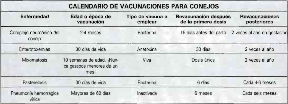 vacunas-conejo