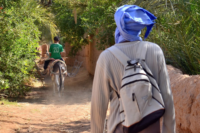 Caminantes por el palmeral del valle del Draa. Marruecos