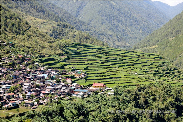 bayyo rice terraces