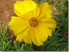 DSCN1320
