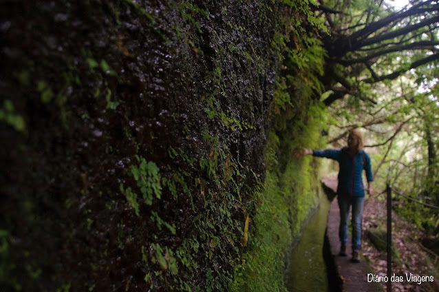 O que visitar na Ilha da Madeira, Roteiro Ilha da Madeira, Levada do Caldeirão Verde