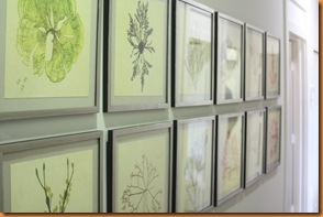 green 017