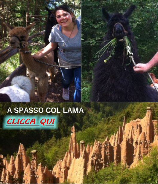 http://vacanzedafavola7.blogspot.it/2016/04/passeggiata-con-i-lama.html